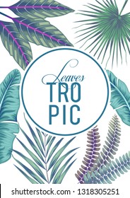 stock vector of invitation card template design with blue summer exotic tropical leaves in white background illustration