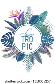 stock vector of invitation card template design with blue summer exotic tropical leaves in white background illustration