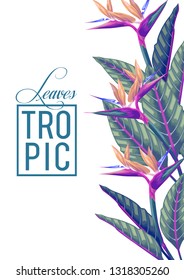 stock vector of invitation card template design with blue summer exotic tropical leaves in white background illustration