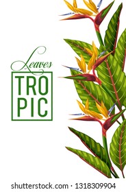 stock vector of invitation card template design with blue summer exotic tropical leaves in white background illustration