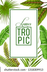 stock vector of invitation card template design with blue summer exotic tropical leaves in white background illustration