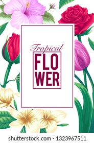 stock vector of invitation card template design with exotic tropical flowers in white background illustration