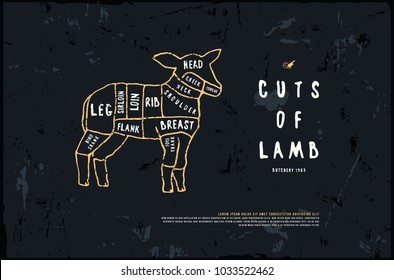 Stock vector lamb cuts diagram in the style of handmade graphics. Illustration with rough texture. Color print on black background