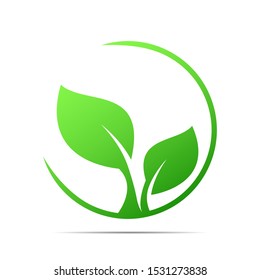 stock vector leaf logo design. green life, green leaves, ecology, natural, green life, botanical logo icon concept.