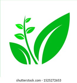 stock vector leaves logo isolated in white