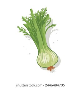 Stock vector of lfennel graphic object illustration.