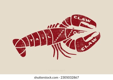 Diagrama de corte de langosta vectorial en forma plana. Diseño con textura áspera. Impresión roja sobre el fondo de la luz