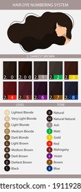 Stock vector palette with hair dye numbering system, levels, tones and undertones. Palette for level 2 hair color depth. Woman with long wavy hair. Illustration in flat style