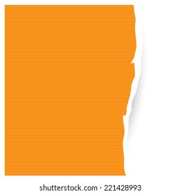 stock vector / paper / origami