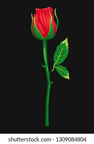 stock vector rose graphic illustration in black background