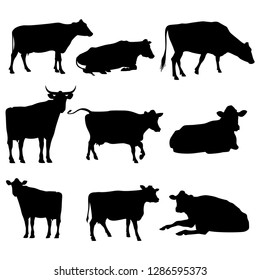 stock vector set cattle silhouettes collection isolated on white