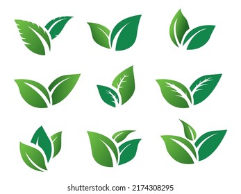 stock vector set green leaf icon eco. green leaves 
plant nature garden. icon botanical collection


