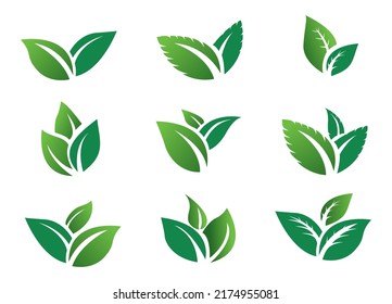 stock vector set green leaf icon eco. green leaves 

plant nature garden. icon botanical collection


