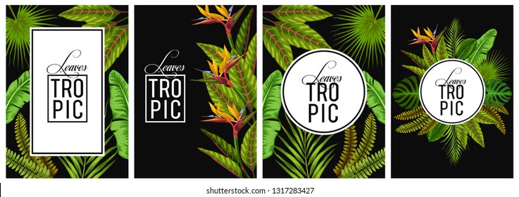 stock vector set of invitation card template design with summer exotic tropical leaves in black background illustration
