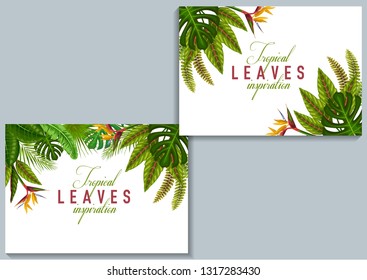 stock vector set of invitation card template design with summer exotic tropical leaves in white background illustration