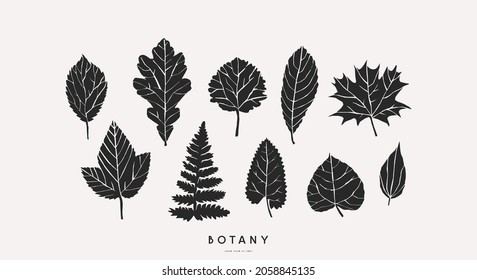 Stock vector set of tree and herbal leaf silhouettes. Black print on light backdrop