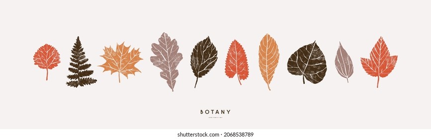 Stock vector set of tree and herbal leaf silhouettes for banner. Color print on light backdrop