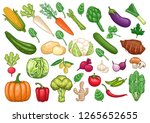 stock vector set of vegetables graphic object illustration