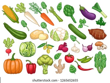 stock vector set of vegetables graphic object illustration