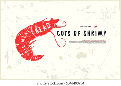Stock vector shrimp cuts diagram in the style of handmade graphics. Illustration with rough texture. Color print on white background