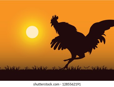 Stock Vector Silhouette Angry Rooster Grassland Stock Vector (royalty 