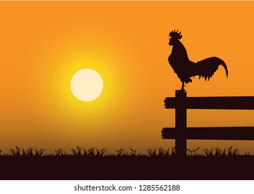 stock vector silhouette crowing rooster in the grassland with yellow sunset. countryside living concept graphic illustration