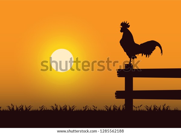 Stock Vector Silhouette Crowing Rooster Grassland Stock Vector (Royalty ...