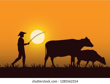 stock vector silhouette farmer herd cow in the grassland yellow sunset. countryside living concept graphi