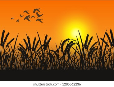 stock vector silhouette flying herd ducks and grassland with yellow sunset. countryside living concept graphic illustration