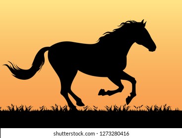stock vector silhouette horse in the grassland graphic illustration. countryside living concept graphic illustration