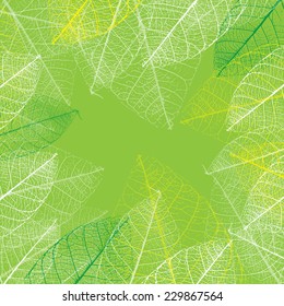 Stock vector skeleton leaves background Autumn illustration