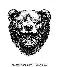 stock vector sketch of an angry bear head with an open mouth