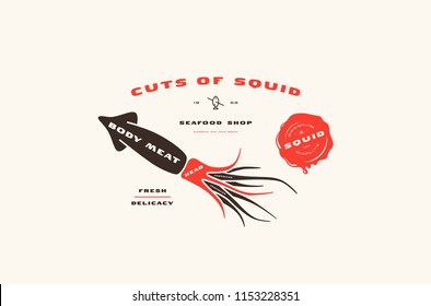 Stock vector squid cuts diagram in flat style. Color print on white background