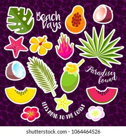 stock vector summer items collection template vector design 