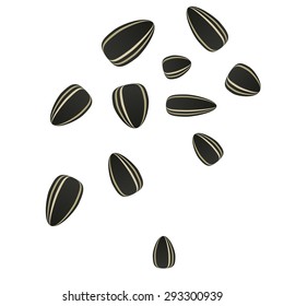 Stock vector sunflower seeds on a white background. Scattered in a chaotic manner