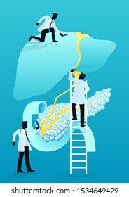 stock vector of team of doctors diagnose human liver and pancreas. medical and health care concept. vector illustration background.