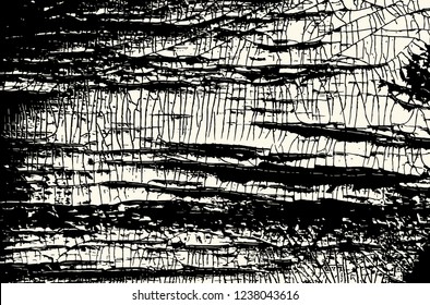 Stock vector texture of old paint. Black and white background for your design