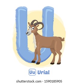 stock vector of U for urial. alphabet animal for education