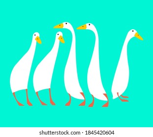 a stock vetor of little goose minimal cartoon character