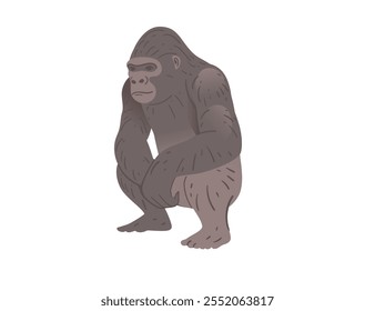 Stocky adult grey gorilla sitting on two legs. Wild monkey or ape. Cartoon animal design. Vector illustration isolated on white background.