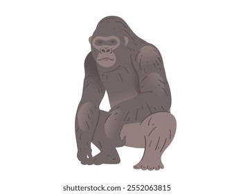 Stocky adult grey gorilla. Wild monkey or ape. Cartoon animal design. Vector illustration isolated on white background.