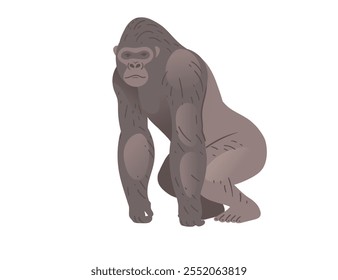 Gorila cinza adulto robusto. Macaco ou macaco selvagem. Desenhos animados de animais. Ilustração vetorial isolada sobre fundo branco.