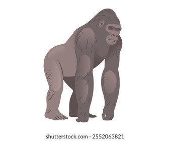 Gorila cinza adulto robusto. Macaco ou macaco selvagem. Desenhos animados de animais. Ilustração vetorial isolada sobre fundo branco.