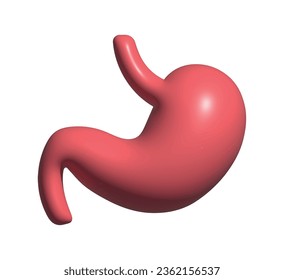 Stomach 3d icon. Internal organ, human gastrointestinal tract. Isolated object on a transparent background.