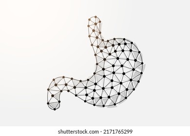 Stomach 3d low poly symbol with connected dots. Digestive system, human transplantation design vector illustration. Organ anatomy polygonal wireframe