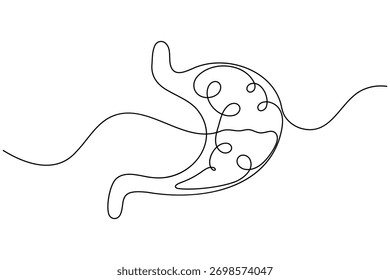 Stomach anatomy continuous one line drawing on white background minimalist digestive organ outline vector illustration