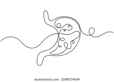 Anatomía estomacal continua una línea dibujando sobre fondo blanco Ilustración vectorial minimalista del contorno del órgano digestivo