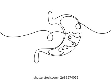 Anatomia estomacal desenho contínuo de uma linha sobre fundo branco minimalista órgão digestivo esboço ilustração vetor