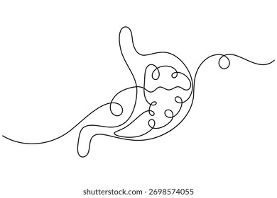 Anatomía estomacal continua una línea dibujando sobre fondo blanco Ilustración vectorial minimalista del contorno del órgano digestivo