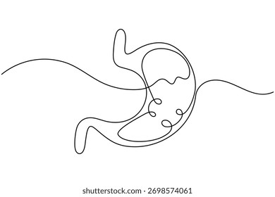 Stomach anatomy continuous one line drawing on white background minimalist digestive organ outline vector illustration